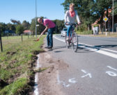 Gras wuchert auf dem Radweg