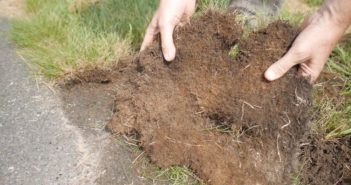 Landesgartenschau auf der Landesstraße 333 L333 wird überwuchert