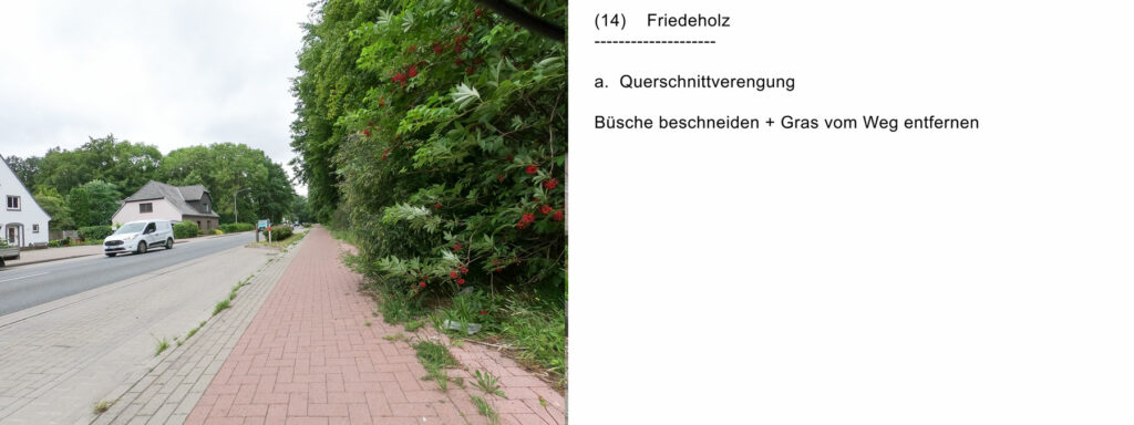 14) Friedeholz