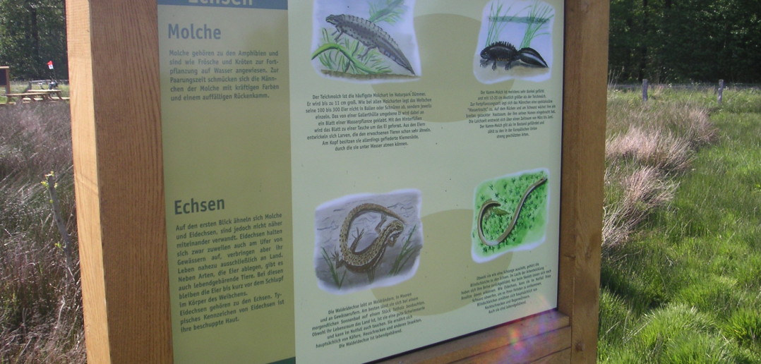 Meerweg — Staffelübergabe